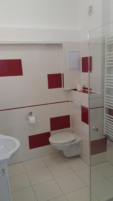 Apartament Roza براشوف المظهر الخارجي الصورة