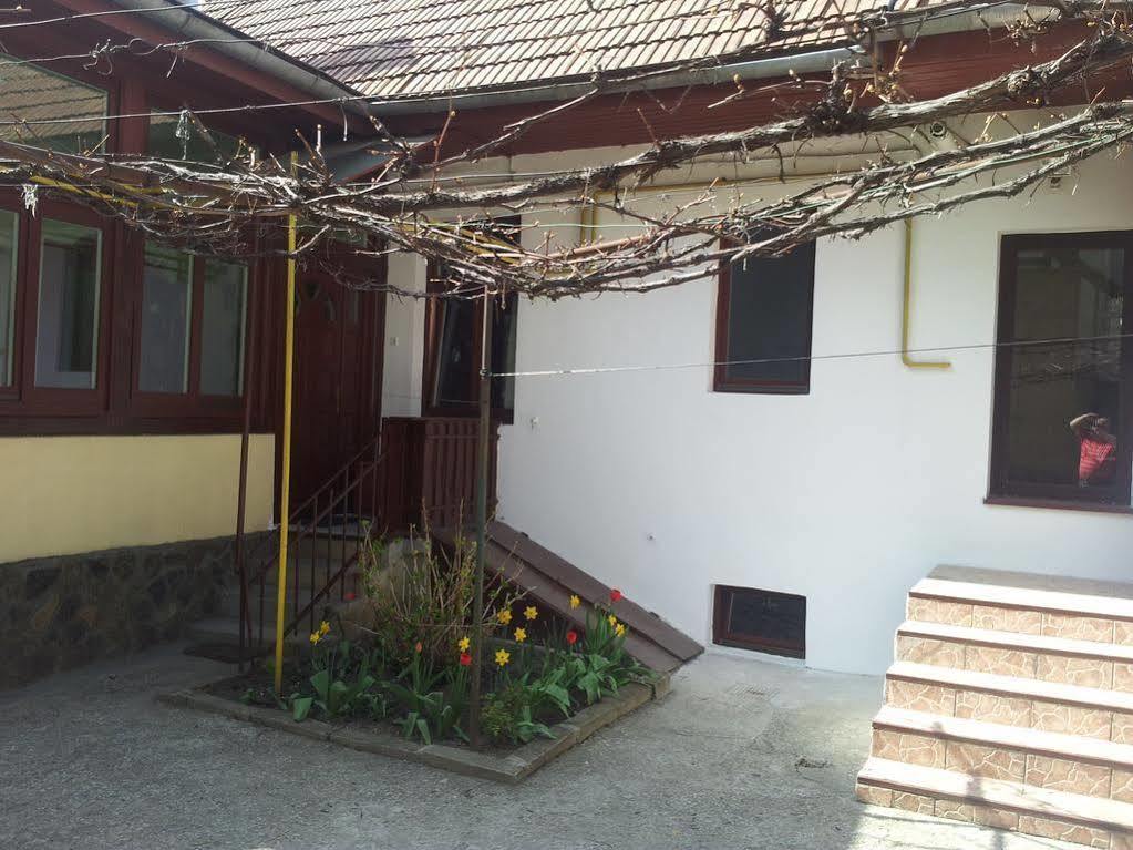 Apartament Roza براشوف المظهر الخارجي الصورة